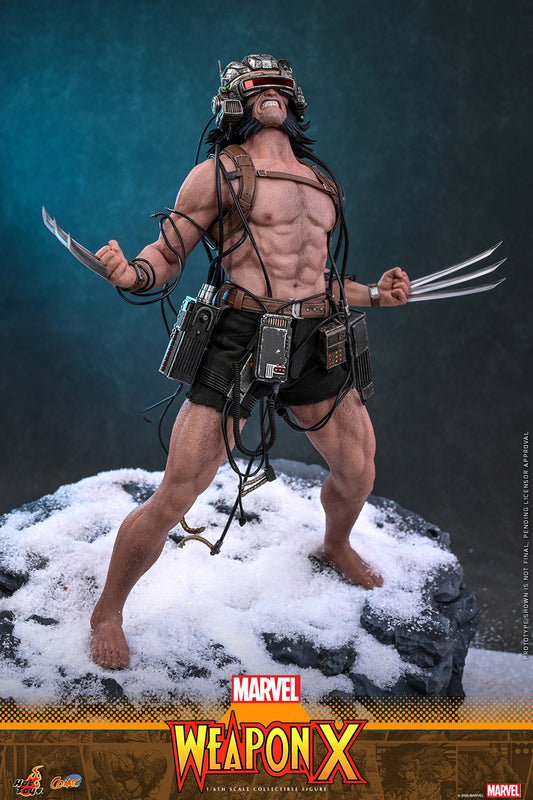 Hot Toys Weapon X *Pre-Order